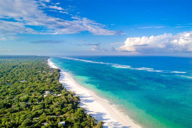 DJI_0080-2-2.jpg