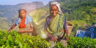 Od čajových plantáží Darjeelingu k himálajským klášterům Bhútánu