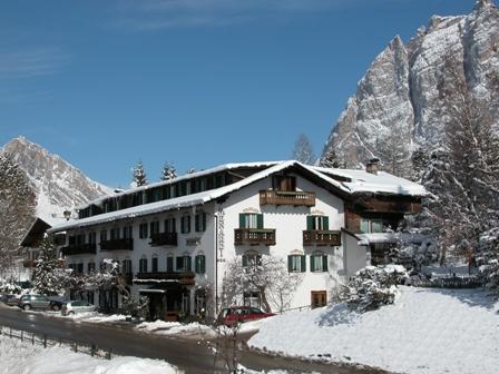 Menardi
