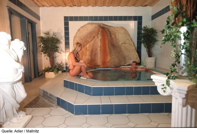 Ferienhotel Alber