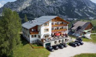 Alpenrose