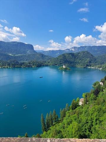 Bled