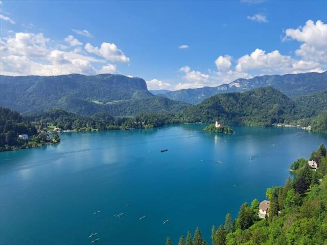 Bled1