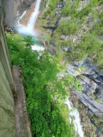 Savica1