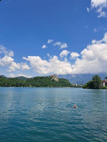 bled6