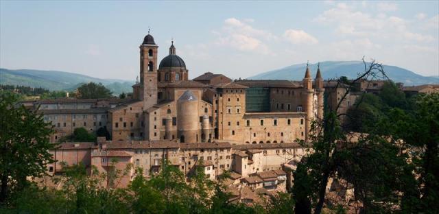 42 Urbino