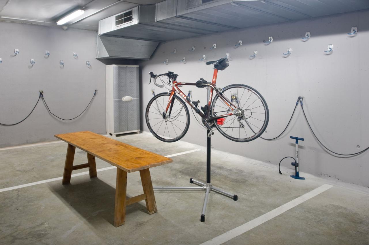 19_MERCURY_bycicle