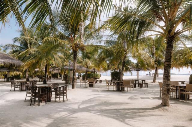 Tiki Bar 2.jpeg