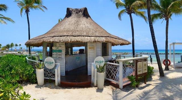 Catalonia-Riviera-Maya-Bar-Pure-Privileged---extended.jpg