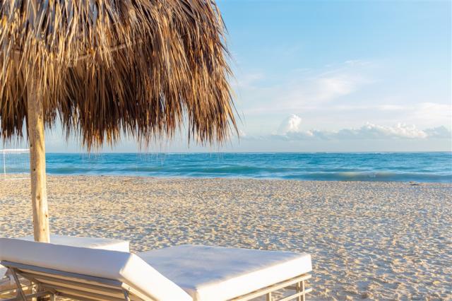 3. CDP-TDP_Playa - Platinum.JPG