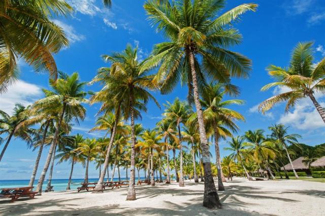 bbc-beachfront.jpg