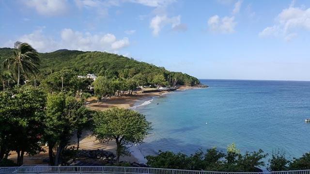 20160511_071920.jpg