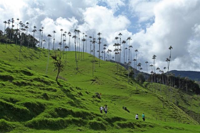 valledelcocora.jpg