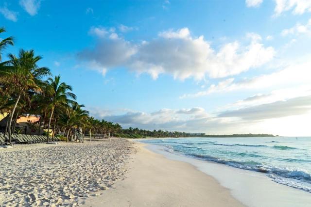 Catalonia_royal_tulum_0.jpg