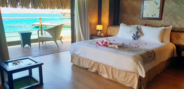 BOB Maitai - OW - interior (1).jpg