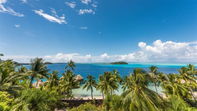 BOB Maitai - Lagoon View.jpg