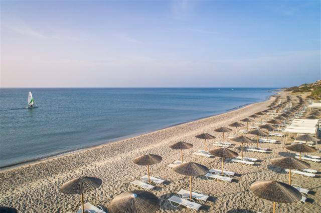 Beach_Area.jpg