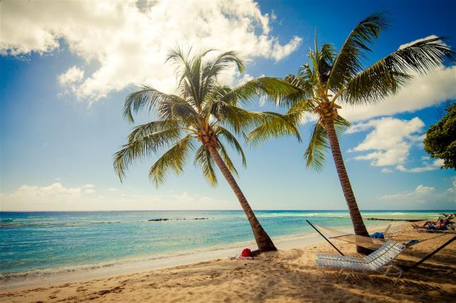 hammock-under-twin-palms-sugar-bay-barbados.jpg