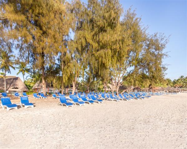 Beach Sunbeds (2).jpg