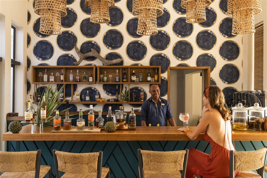 Restaurants_and_Bars-Bar-07.jpg