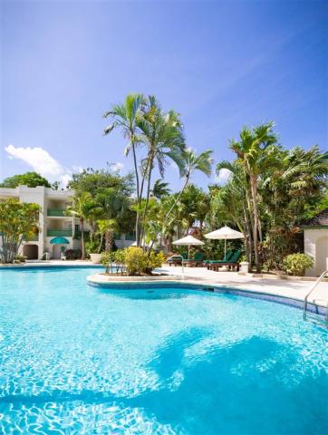 BarbadosMangoBay-Pool shot .jpg
