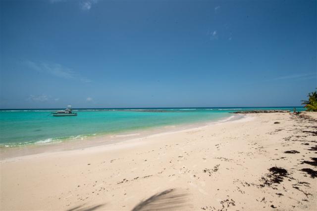 DSC_5627.jpg
