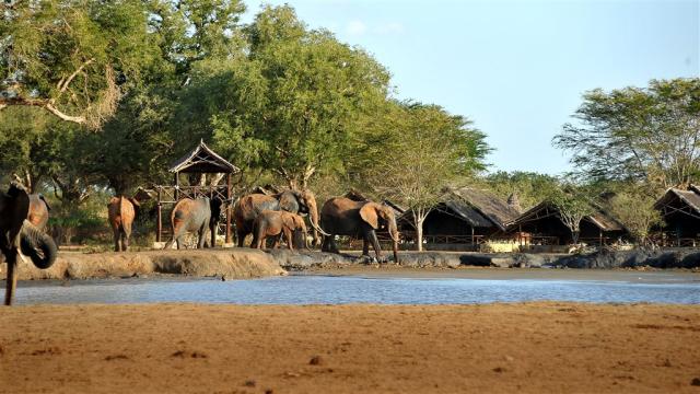 Satao Camp.jpg