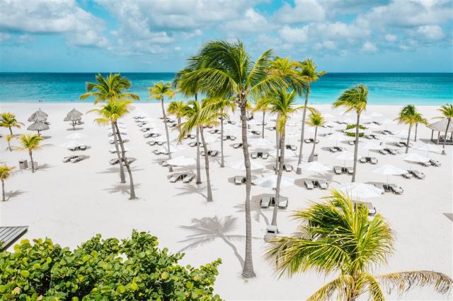Beach_Palmtrees_H.jpg