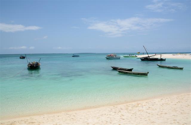 DSC_9225.JPG