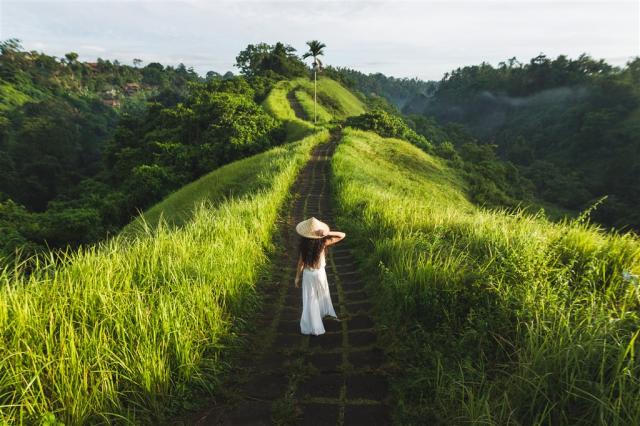 Bali rice fields3.jpg