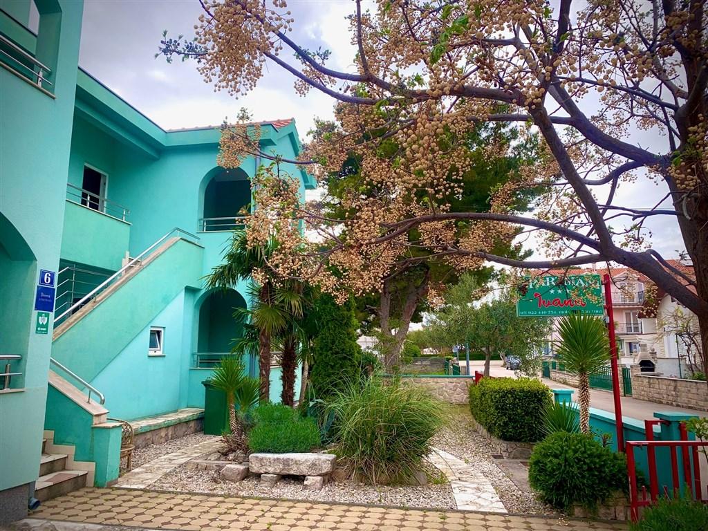 exteriér4_Ivana_Vodice.jpg