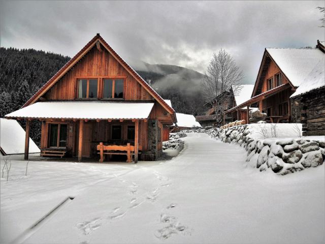DSCN4208.JPG