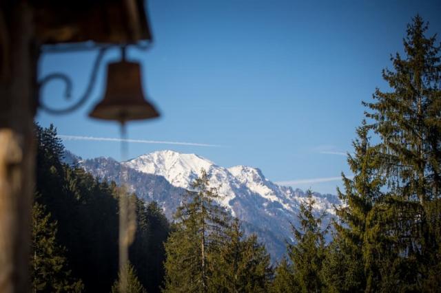 Dolomiti Village 31.jpg