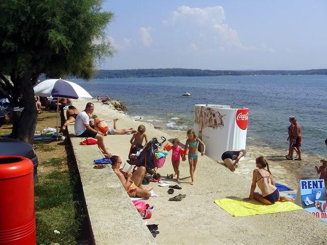 Rajko