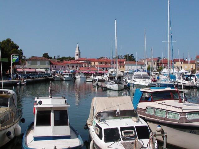 Rajko