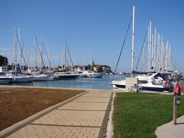 Rajko