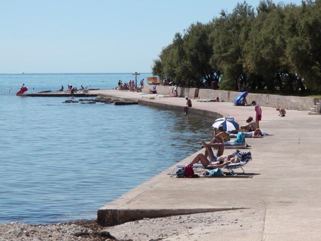 Rajko