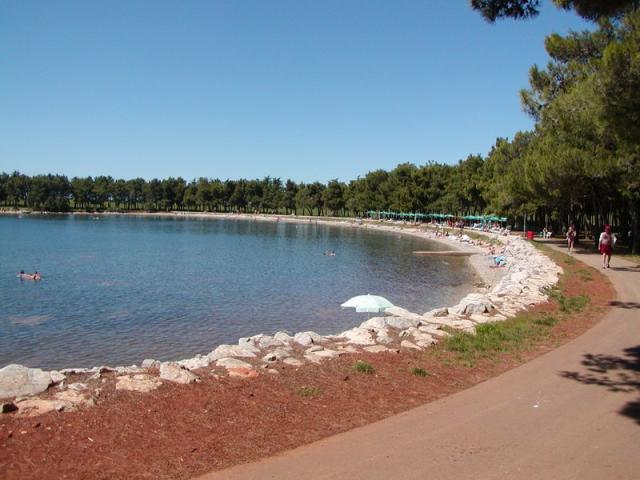 Rajko