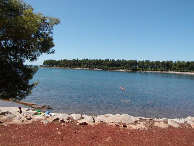 Rajko