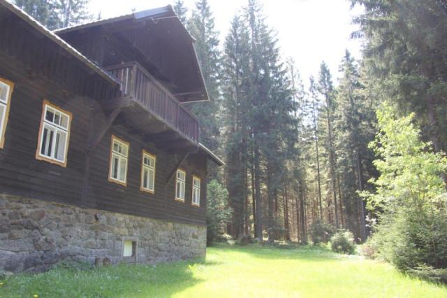 Srní