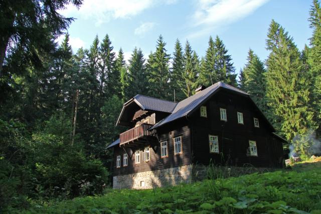 Srní