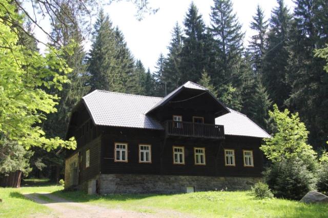 Srní