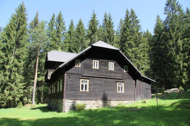 Srní