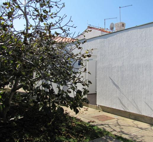 Nevenka