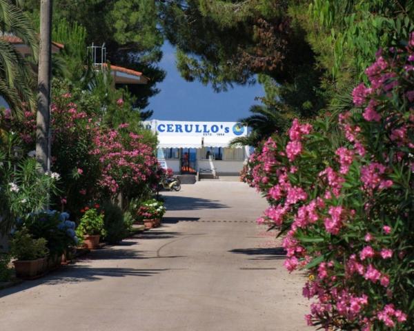 Cerullo