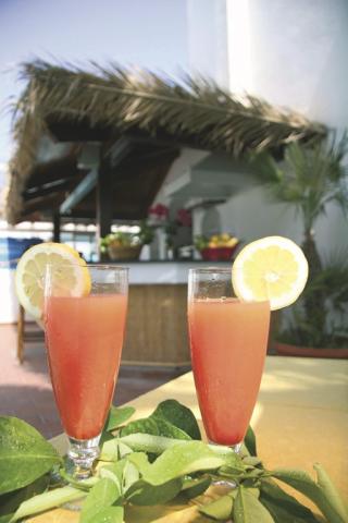 Royal Palm Terme