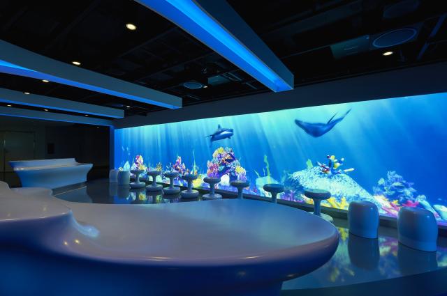 Zábava na lodi Norwegian Joy