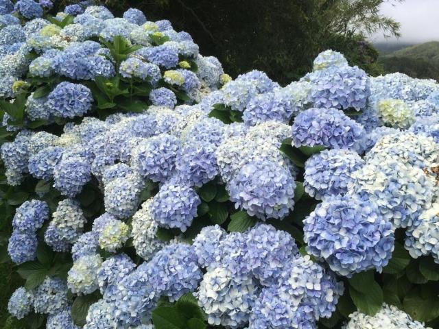 1200