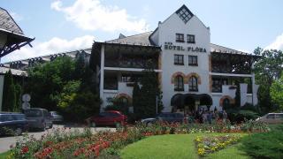 Flóra