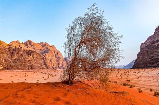 desert-4836217_1920.jpg